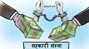 ३१ महिनामा सहकारीको २८ अर्ब ठगी, २ सय ४२ मुद्दा दर्ता