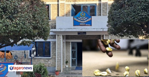 लमजुङ सुन्दरबजारमा कौडा खेल्दै गरेका ११ जना पक्राउ