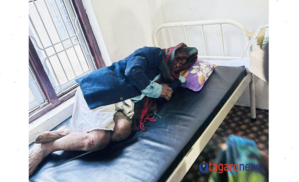 लमजुङमा भालुको आक्रमणबाट एक गम्भीर घाइते 